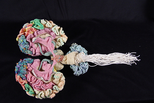 Loading Knit Brain picture ...